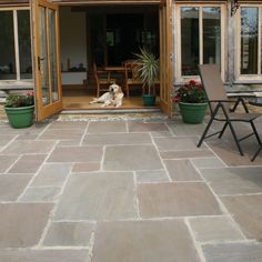 a dog is sitting in the open door of a house with patio furniture and potted plants