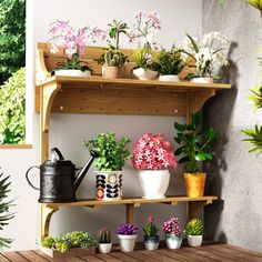 several potted plants are sitting on a shelf