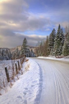 a snow covered road in the middle of a snowy field with trees on both sides