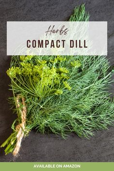 a bunch of green herbs sitting on top of a black surface with text overlay that reads herb compact dill available on amazon