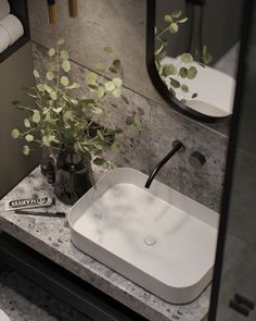 a white sink sitting under a bathroom mirror next to a vase with a plant in it