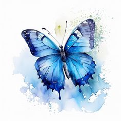 a watercolor painting of a blue butterfly