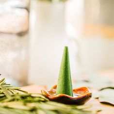 a small green cone sitting on top of a table next to some leaves and plants