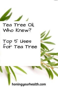 Ever wonder what tea tree oil is used for? There are lots and here are the top 5! Cleaning Recipes, Makeup Foundation, Tree Oil, Happy Home, Tea Tree Oil