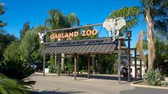 the entrance to oakland zoo with an elephant statue on it's roof and palm trees in the background