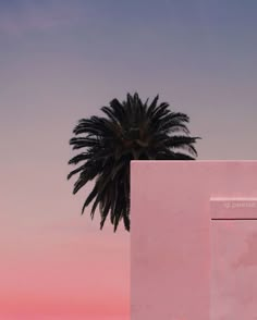 a pink building with a palm tree in front of it and a purple sky background