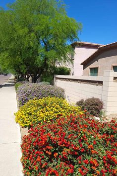 colorful flowers line the sidewalk in front of a house