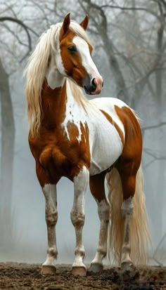 a brown and white horse standing on top of a dirt ground next to some trees