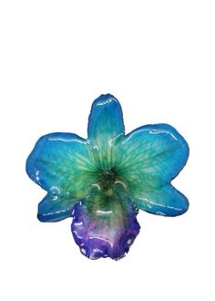 a blue and green flower on a white background