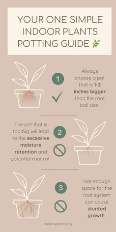 the ultimate guide to growing indoor plants