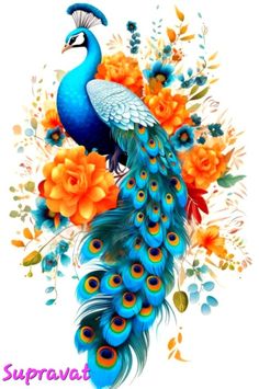 a painting of a peacock with flowers and leaves on it's back side, in front of the words supravt