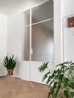 there is a potted plant in the corner of this room with two glass doors