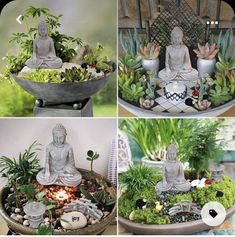 there are four pictures of buddha statues and plants in the potted planter on the table