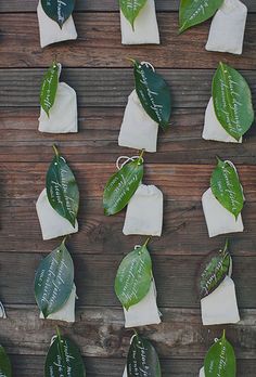 several pieces of white paper with green leaves attached to them on a wooden table top