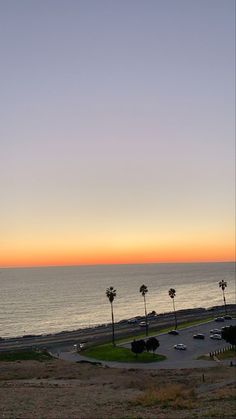 an airplane flying over the ocean with palm trees in the foreground and cars on the road below