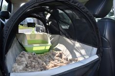 an animal carrier in the back seat of a car, filled with food and water