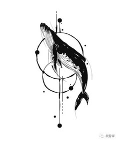 a black and white drawing of a whale with circles on it's back side