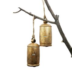 two brass bells hanging from a tree branch