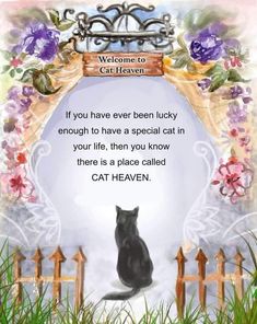 a black cat sitting in front of a gate with flowers on it's border