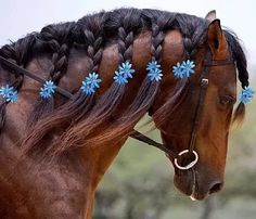 a brown horse with blue flowers on it's head and braids in its mane