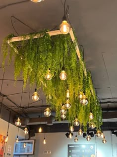 a bunch of lights hanging from the ceiling in a room with plants growing on it