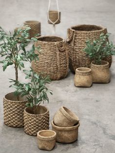 there are many baskets with plants in them on the concrete floor next to each other