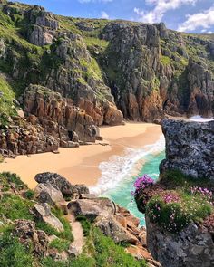 the beach is surrounded by rocky cliffs and green grass, with flowers growing out of the rocks