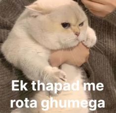 a person holding a cat in their arms with the caption saying, e k thapadd me rota ghumega