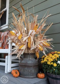 corn on the cob in an old milk can with pumpkins and mumensils