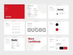 several different types of business cards and brochures with red, white and black designs