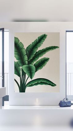 a large green plant is hanging on the wall in front of a white room with two windows