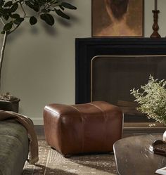 a living room filled with furniture and a plant on top of a wooden coffee table