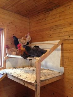 three chickens are standing on top of a bed in a room with wood paneling