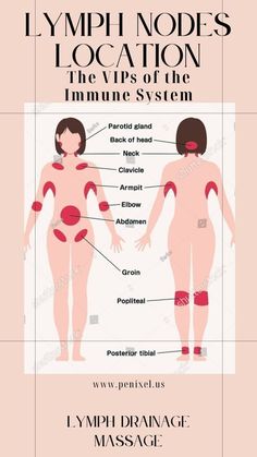 The lymphatic system, an often-overlooked component of the body’s defense mechanisms, plays a vital role in maintaining overall health. While most people are familiar with the circulatory system that moves blood throughout the body, the lymphatic system is equally important. It functions as a drainage network, clearing out toxins, waste, and other unwanted materials. This complex network of vessels and nodes is crucial for maintaining a drama-free body, as it helps manage fluid levels, supports the immune system, and facilitates detoxification. lymph drainage massage,lymph drainage,lymph massage,how to drain lymph nodes,lymph fluid. Drain Lymph System, Lymph Nodes Massage, Draining Lymph Nodes, How To Drain Lymph Nodes, Lymph Nodes Location, Drain Lymph Nodes, Self Lymph Drainage Massage, Lymph Drainage Massage Face, Manual Lymph Drainage