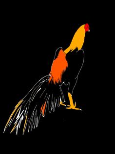 an orange and yellow bird is flying in the dark