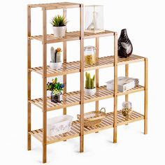 three wooden shelves with plants and other items on top of each shelf in front of a white background