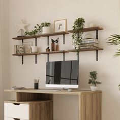 a computer on a desk with shelves above it and potted plants in the corner