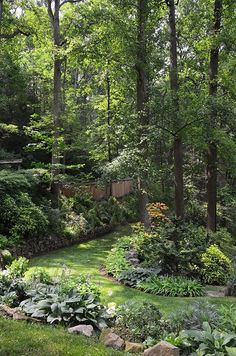 a garden with lots of green plants and trees