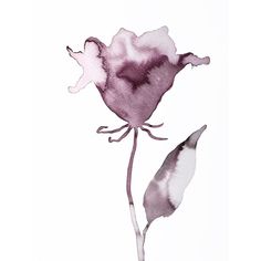 a watercolor painting of a purple flower on a white background with the petals still attached