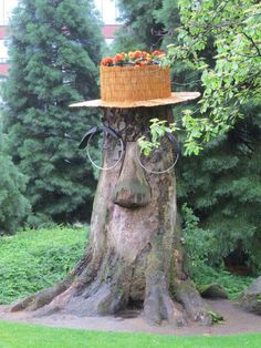 a tree with glasses and a hat on it's head is in the grass