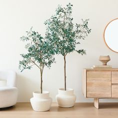 two potted trees sit next to each other on a table in front of a mirror