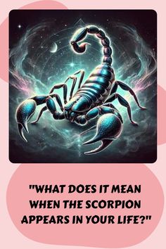 a scorpion with the caption what does it mean when the scorpion appears in your life?