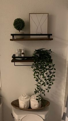 a bathroom with two shelves above the toilet