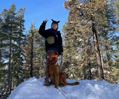 a man standing on top of a snow covered slope next to a brown dog wearing a red frisbee