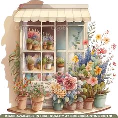 a painting of flowers and plants in front of a window with the words, image available in high quality at colorpainting com