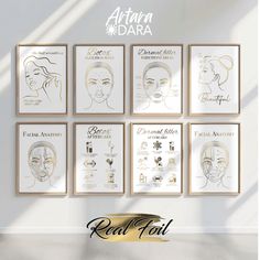 a set of six framed posters with different facial types on the wall in front of a window