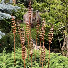 several metal spirals in the middle of some plants