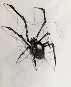 a black and white drawing of a spider