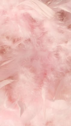 pink feathers are scattered on the ground