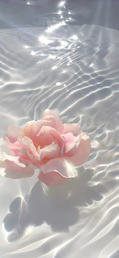 a pink flower floating in water with ripples on the surface and sunlight reflecting off it